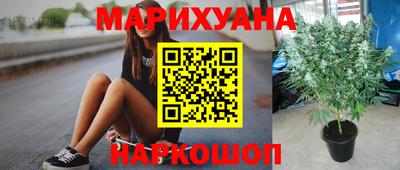 spice Тула