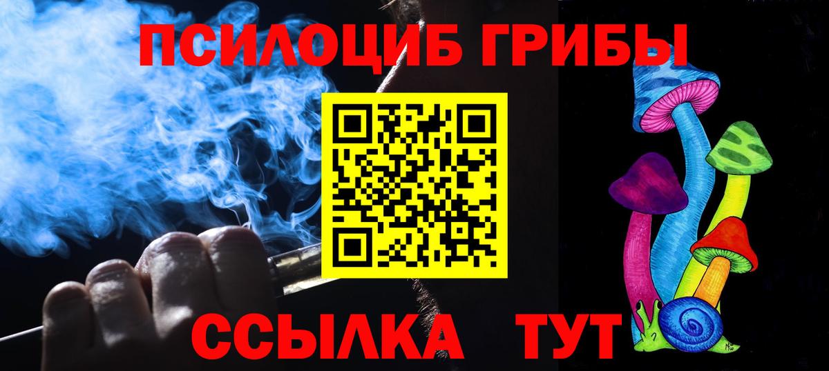 купить  сайты  Псилоцибиновые грибы GOLDEN TEACHER  Вход с VPN  Галлюциногенные грибы Psilocybe  Барнаул 