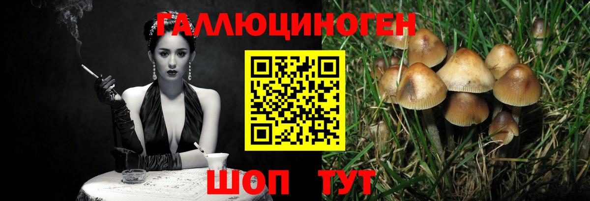 Галлюциногенные грибы мухоморы Барнаул
